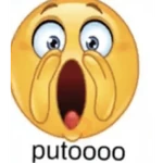 monito amarillo