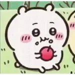 animated chiikawa