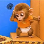 Monito divertido Bebé 🐒✨