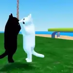 gatinho| gato | cat