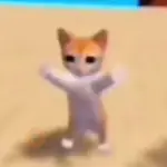 gatinho| gato | cat