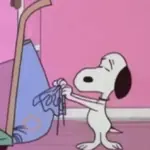 Snoopy ✨