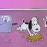 Snoopy ✨