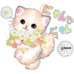 🌈❤️❤️=LOVELY °CATS=❤️❤️🌈 