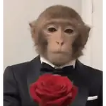 monito 2