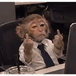 monito 2