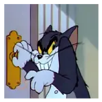 Gato Tom 🐈‍⬛