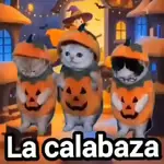 La calabaza 🎃 Gatos🐾TIKTOK 📲