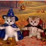 Chumbala 🎃🐾Gatos TIKTOK 📲