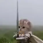Gato con Moño y Espada🐱🎀🗡️✨