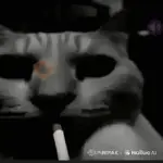 GATOS RANDOM - PARTE 90