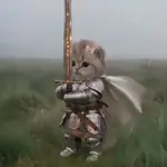 Gatos