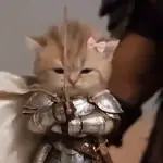 Gatos
