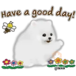 🌼WHITE baby DOG🐶 