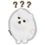 🌼WHITE baby DOG🐶 
