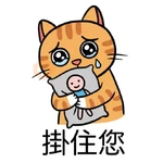 小恩典貓子感謝篇