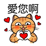 小恩典貓子感謝篇