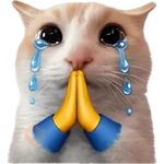 emoji iphone cat kucing