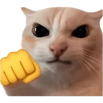 emoji iphone cat kucing