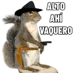 Ardillas 🐿