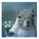 Ardilla Voladora 🐿️❤️
