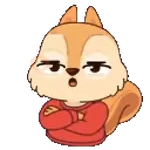 Ardilla Kawai 🐿️❤️