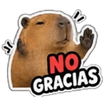 Capibara sin contexto 🤎🤍