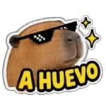 Capibara sin contexto 🤎🤍