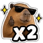 Capibara sin contexto 🤎🤍
