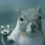Ardilla Tiktok🐿️