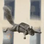 Ardilla Tiktok🐿️