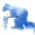 Ardilla Tiktok🐿️