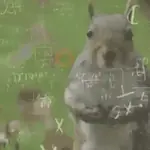 Ardilla Tiktok🐿️