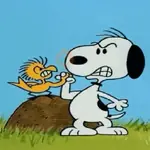 Snoopy Show-Moods 16✨