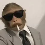 moods monos