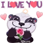 🐼 Panda Pandi 🐼 