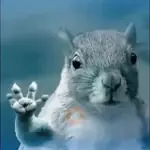 Ardilla - TikTok 🐹