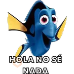 Nemo & Coco 