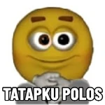 emoji iphone meme #2