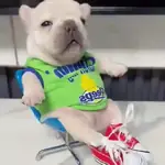 pibbles