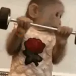MONITOS Mix!!! 🐵🐒