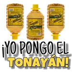 ¡ORGANIZA TU PEDA! 