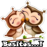 Búho 🦉 Cute 🍃 