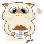 Cat🐱coco 