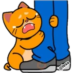Gatito🍊Orange 