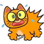 Gatito🍊Orange 