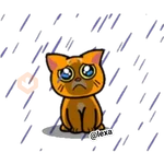 Gatito🍊Orange 