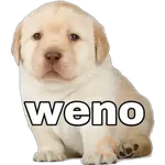 Perritos 