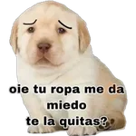 Perritos 