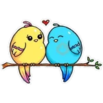 Pajaros Bonitos